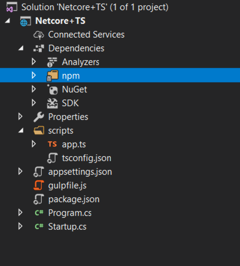 显示 npm 文件夹的 VS 截图